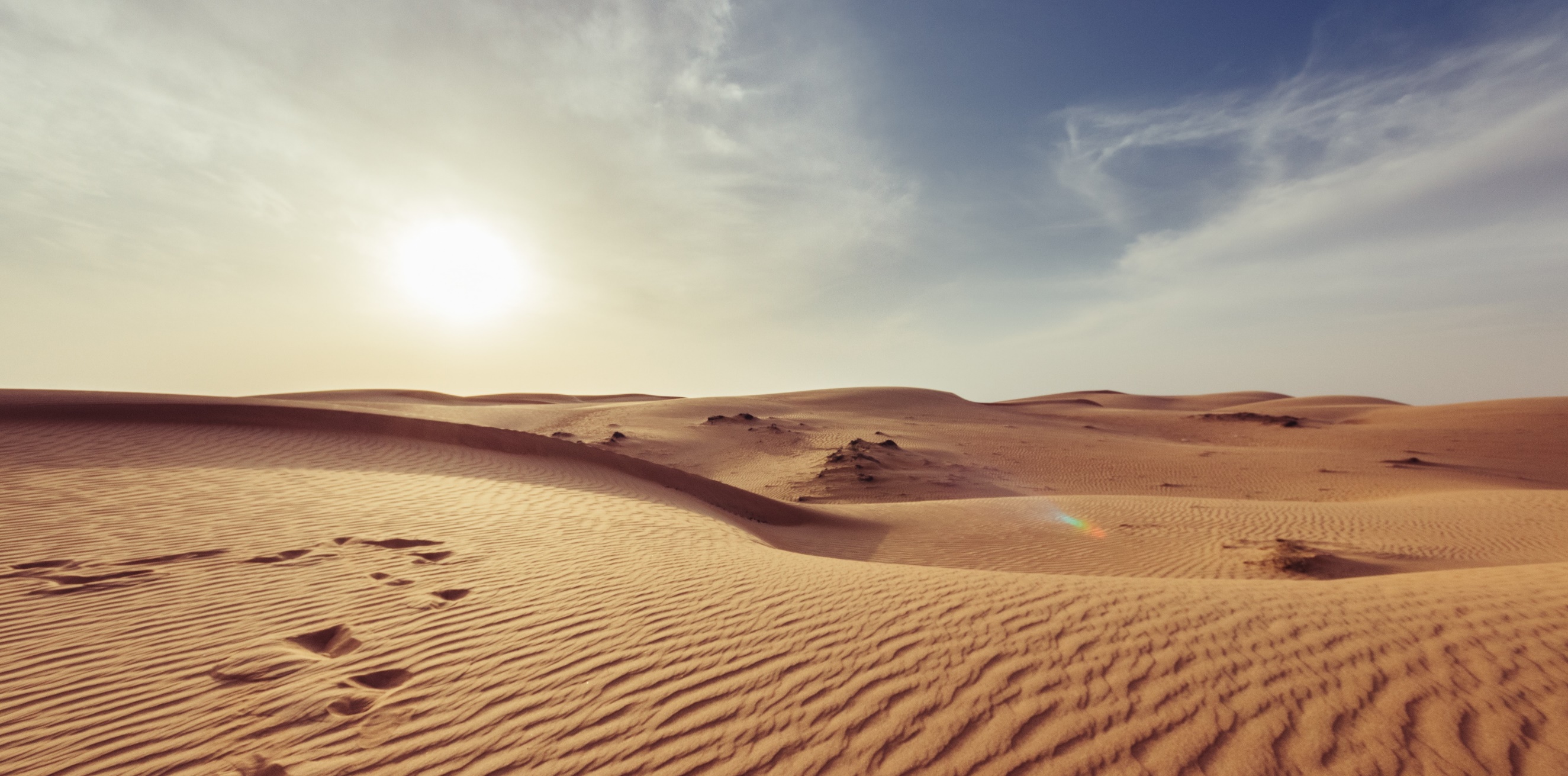 Desert go. Пустыня Пески делибато Сербия. Рассвет в пустыне. Пейзаж пустыни. Лето в пустыне.